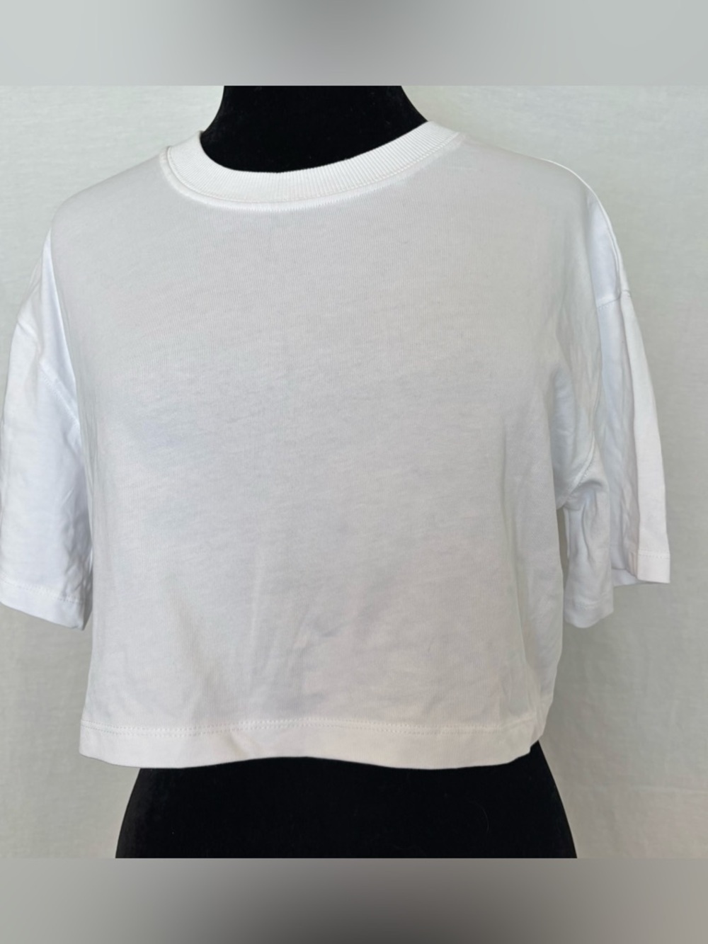 Zara White Cropped Tee Minimalist Capsule Basic Clean Girl Summer Top S